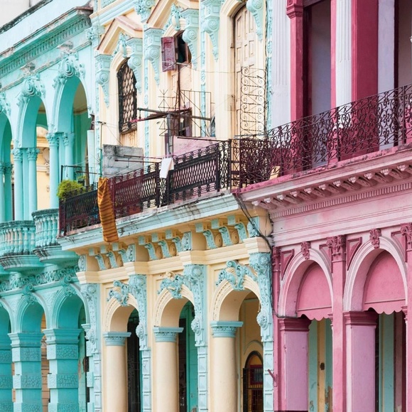 Meet your Posher, Ashley - Picture 5 of 7